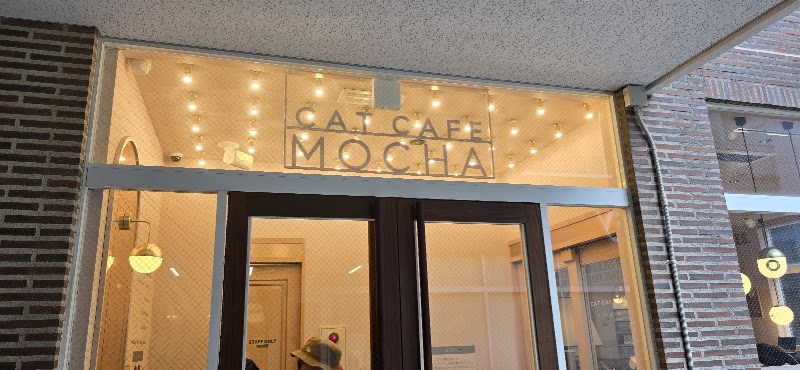 猫カフェMOCHA 天神大名店(福岡)
