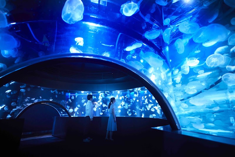 京都水族館(京都)