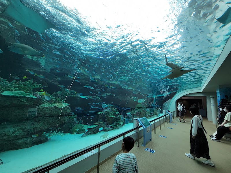 名古屋港水族館(名古屋)