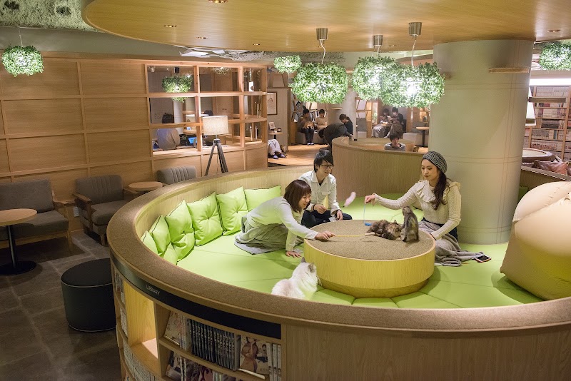 猫カフェMOCHA 新宿店(東京)