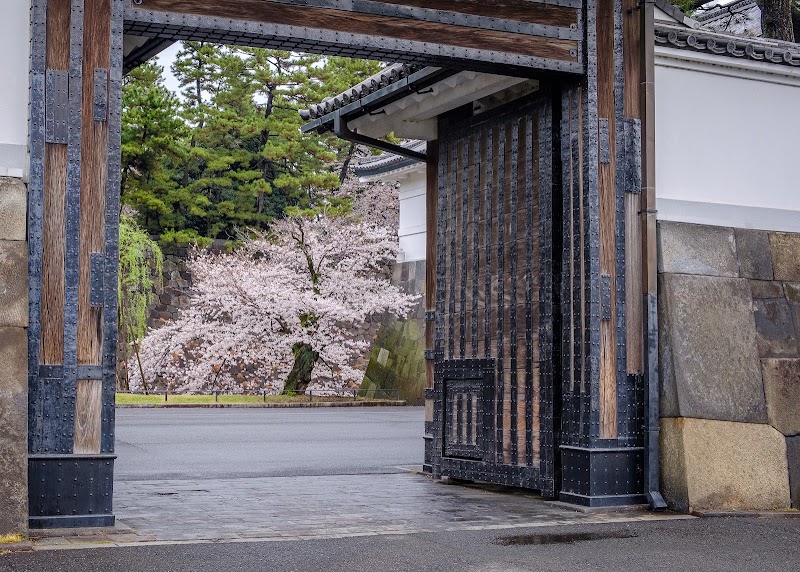 皇居ラン(桜田門スタート)(東京)