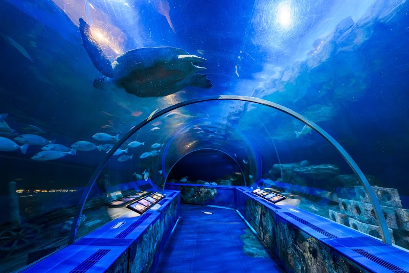 しながわ水族館(平日)(東京)