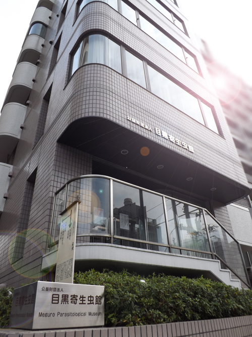 目黒寄生虫館(無料)(東京)